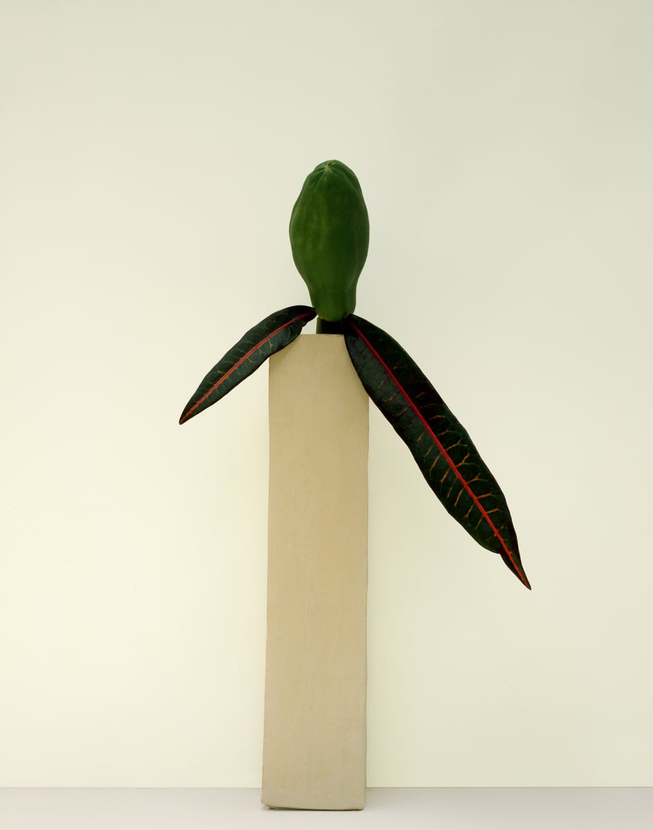 A tall pale stoneware column topped by a green bud with two red-veined croton leaves spreading to either side, against a cream wall