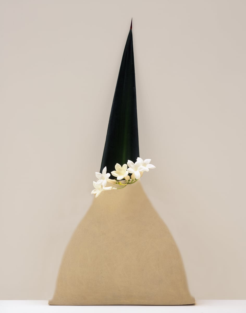 A tall dark green spathe rising like a spire from a broad sand-coloured stoneware form, ringed at the join by small white flowers, against a warm grey wall
