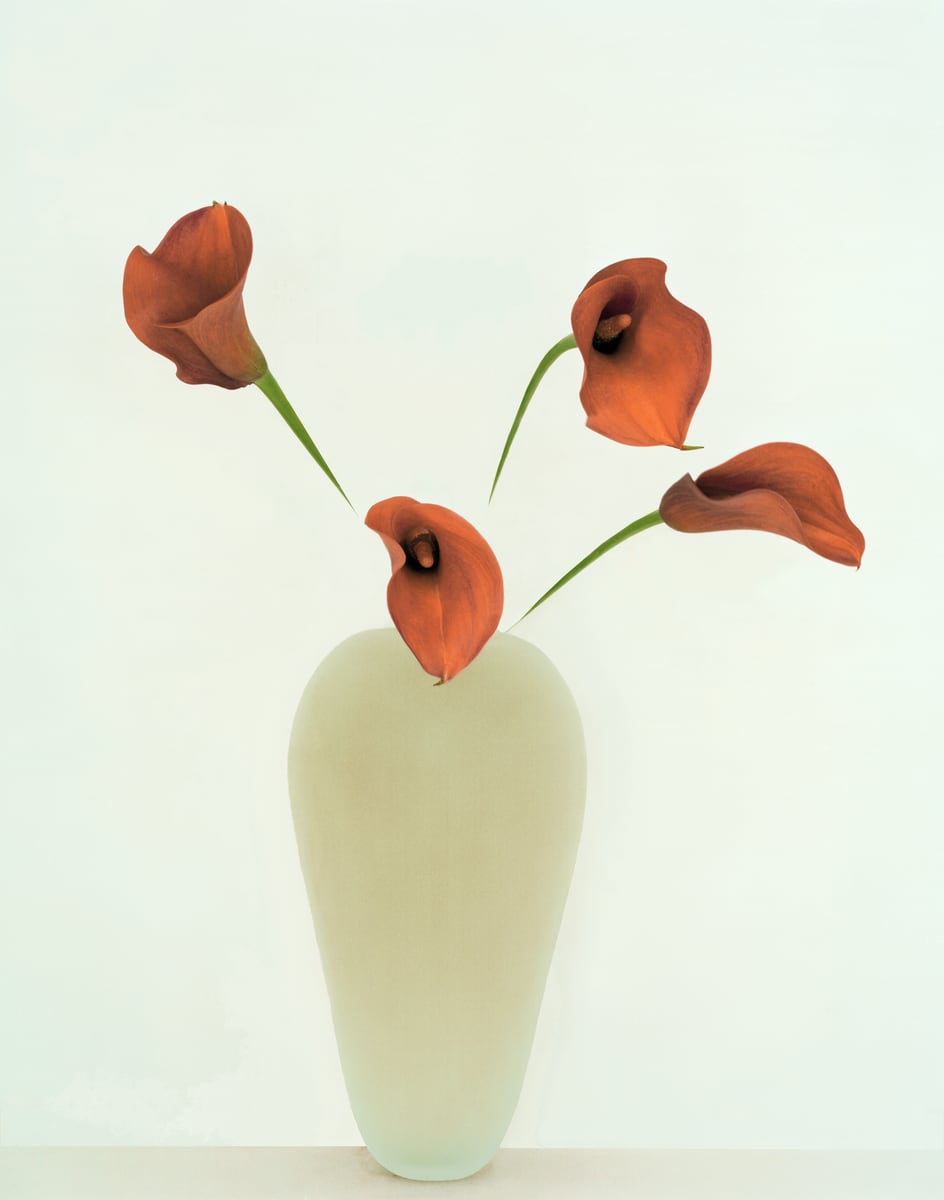 Four rust-orange calla lilies on thin stems turning in different directions above a pale celadon frosted-glass vase, against a pale mint wall