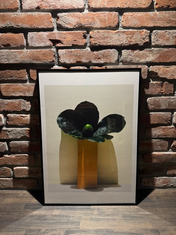 The Source of Life framed against a brick wall