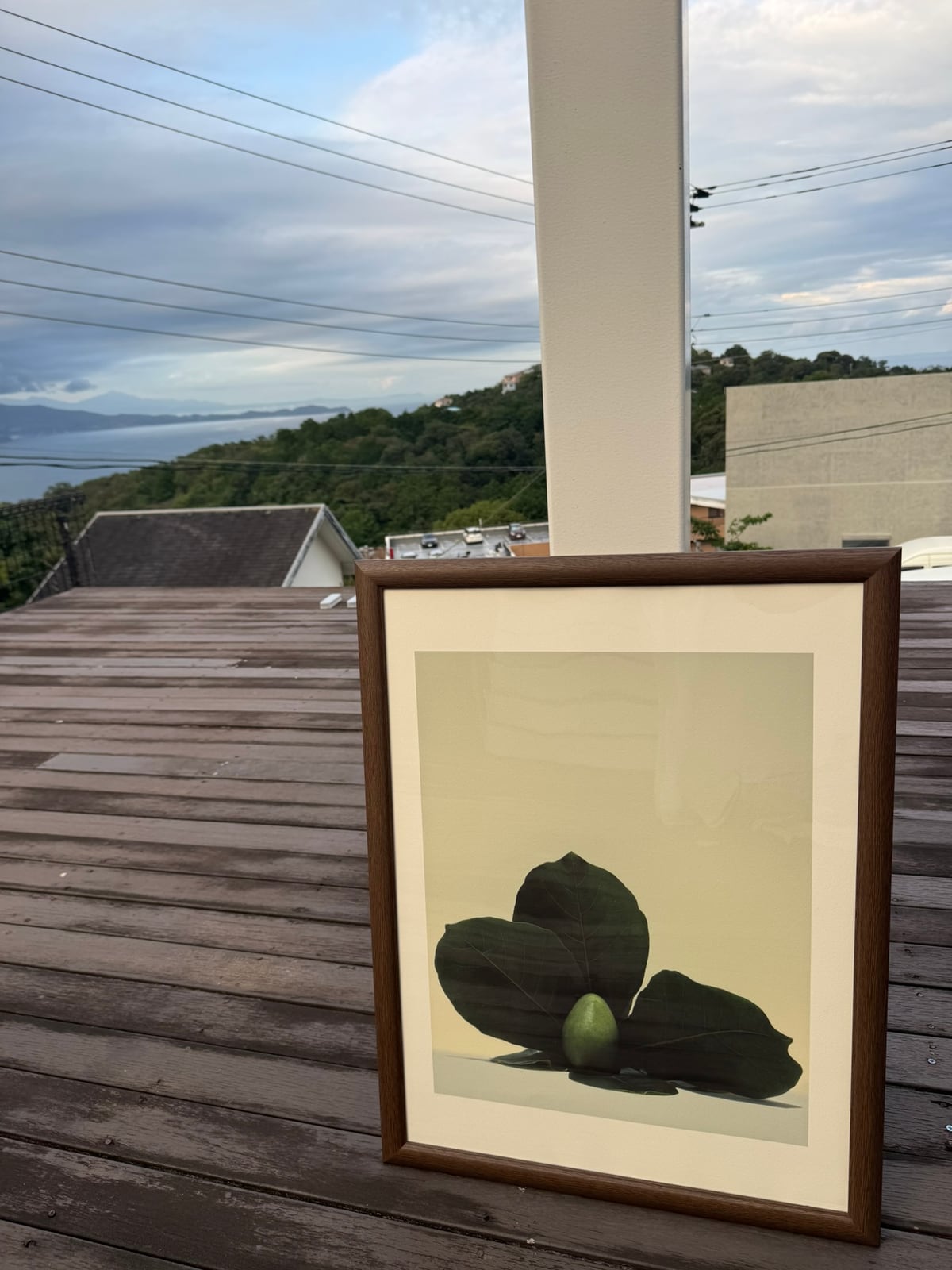 What the Leaves Keep, framed, leaning on the deck rail at dusk