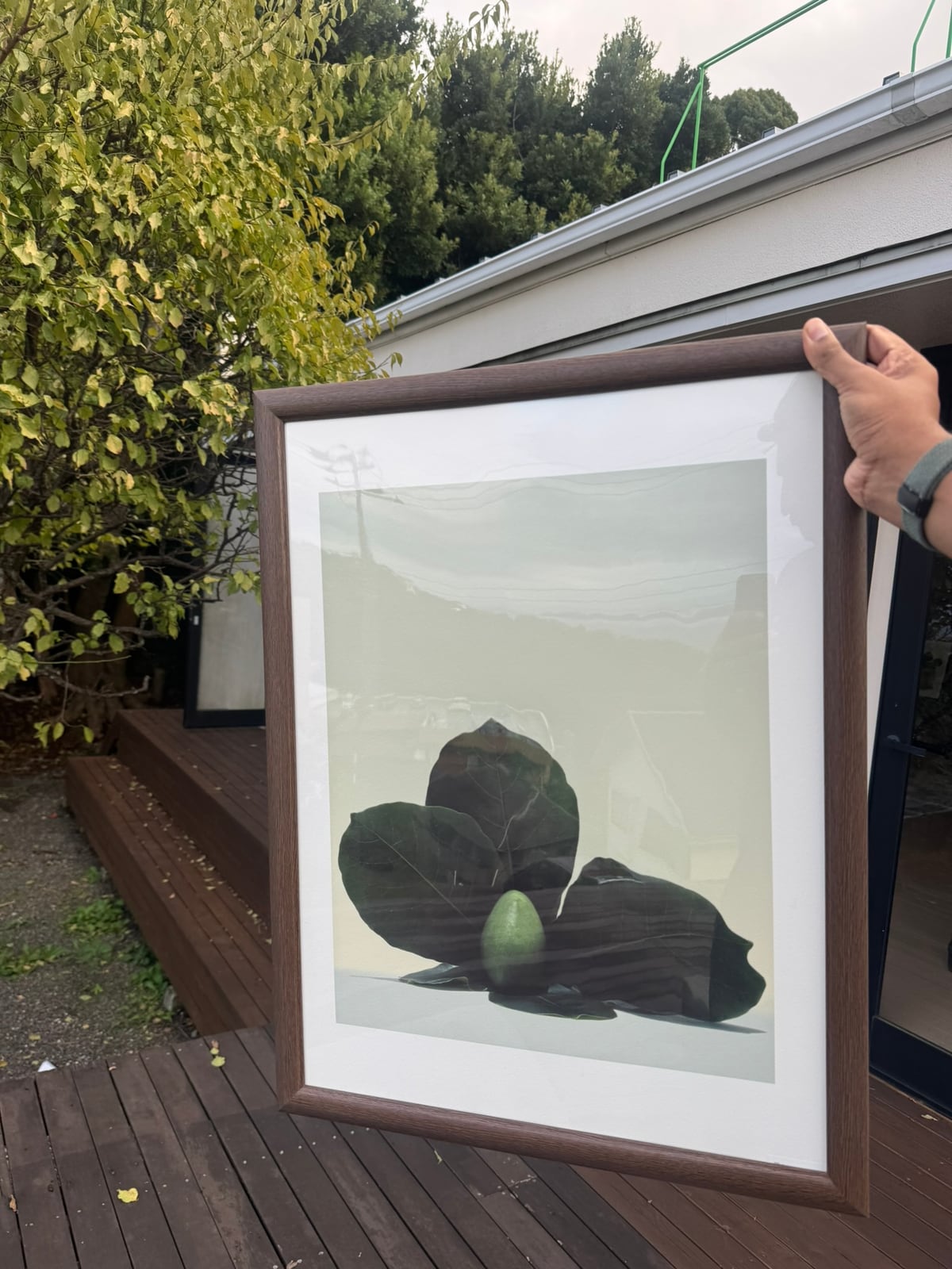 The framed print held up in the garden