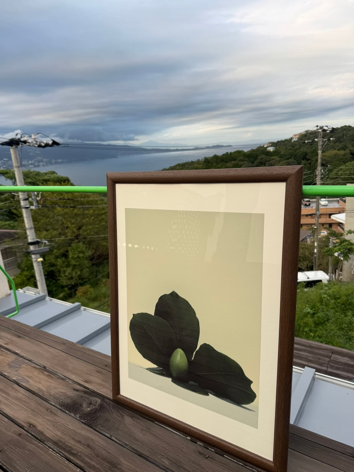What the Leaves Keep, framed, on the deck above Sagami Bay
