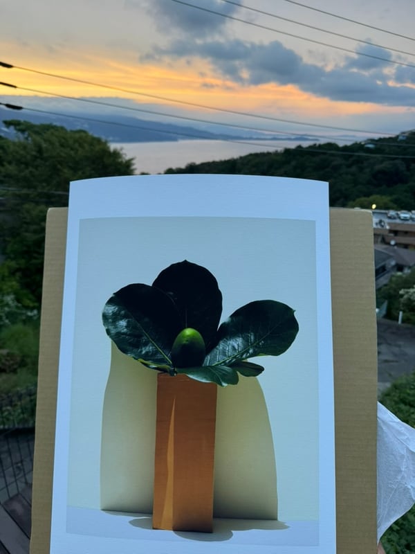 A test print of What the Leaves Keep, checked at dusk above Sagami Bay